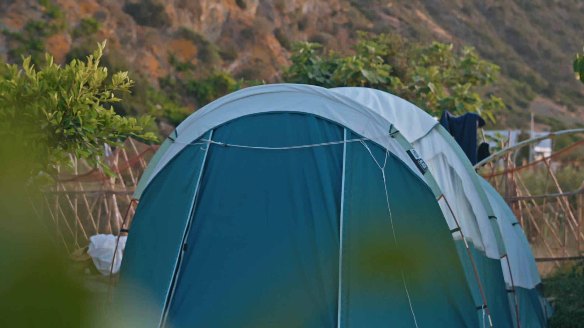 Tent Rental